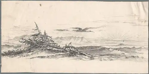 Tuschezeichnung Landschaft mit abgestorbenem Baum von Anton Stadler