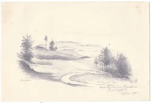 Bleistiftzeichnung „Waldweg um den Lilienstein zum Forsthaus 28. Juni 1921“