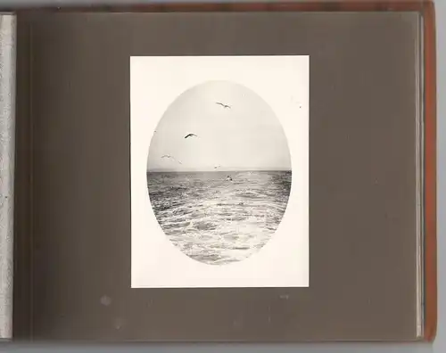 Altes Photoalbum mit 63 Aufnahmen von einem Urlaub am Meer 1920er Jahre