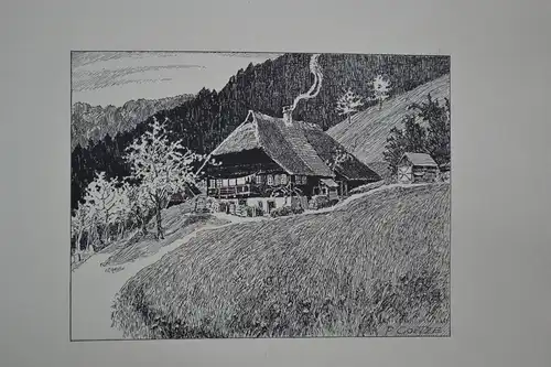 Schwarzwaldzauber, 3 Drucke, P. Goetze, 1921, Lettwieser Hütte, Schwarzwald