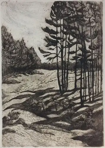 Lithographie Hügelige Landschaft mit Bäumen, rückseitig bezeichnet „L. Schmidt"