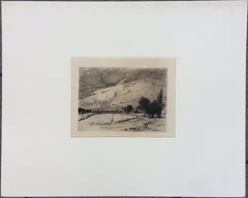 Original-Radierung Landschaft von Hans-Eduard von Berlepsch 1895 im Passepartout