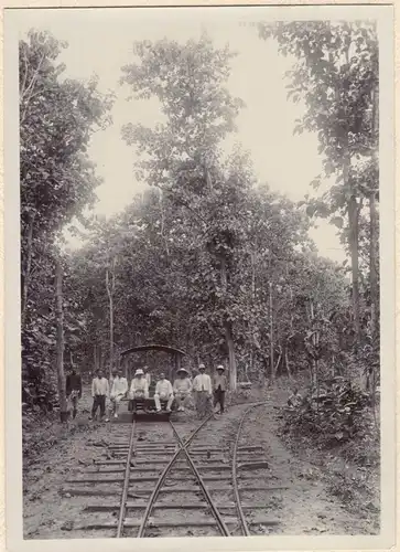 Originalphotographie Gruppenphoto im Urwald auf Bali, ca. 1907