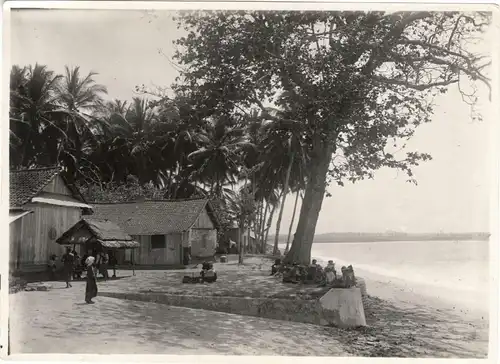 Originalphotographie Kleine Siedlung an Strand von Bali, ca. 1905