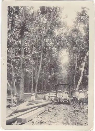 Originalphotographie Forstarbeiter im Urwald von Bali, ca. 1905