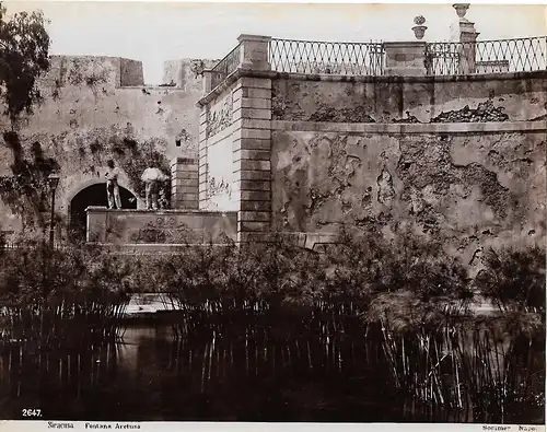 Fotografie, Giorgio Sommer, Siracusa, Fontana Aretusa, #2647, ca 1870
