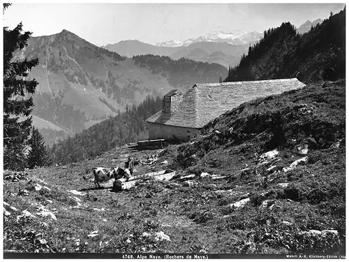 Fotografie,Alpe Naye,Wehrli A.-G.,Kilchberg Zürich