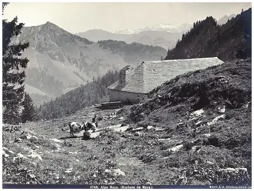 Fotografie,Alpe Naye,Wehrli A.-G.,Kilchberg Zürich