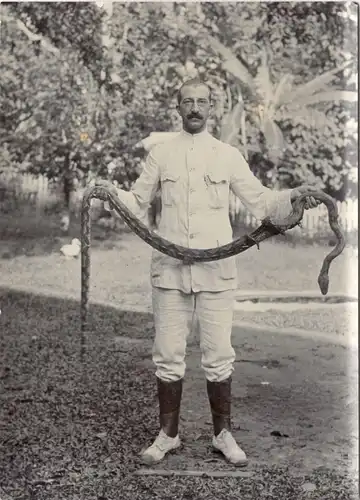 Drei Originalphotographien einer Schlangenjagd in Niederländisch-Indien, ca 1900