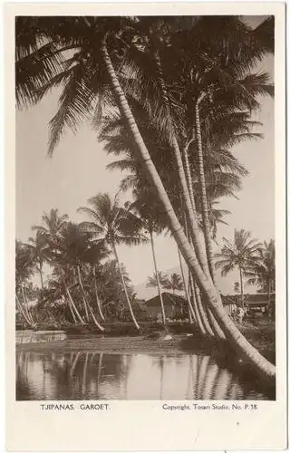 Vierzehn alte s/w Ansichtskarten ca. 1900 bis 1930 mit Motiven aus Bali
