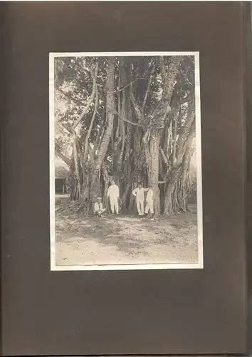 Altes Jugendstil-Photoalbum mit 23 Originalphotographien aus Bali um 1905