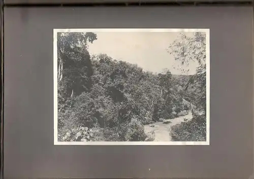 Altes Jugendstil-Photoalbum mit 23 Originalphotographien aus Bali um 1905