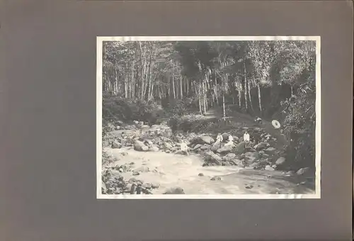 Altes Jugendstil-Photoalbum mit 23 Originalphotographien aus Bali um 1905