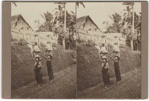Original-3D/Stereophotographie Frauen mit Opfergaben, Bali, 1913