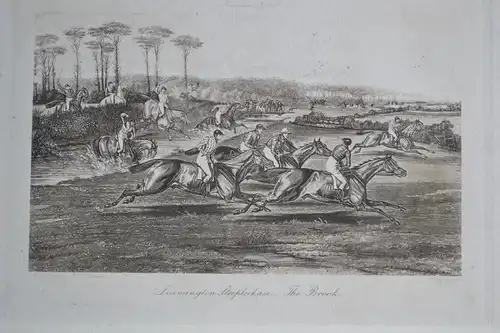 Lithografie, Leamington Steeplechase, nach Gemälde von F.C.Turner, etwa 1850