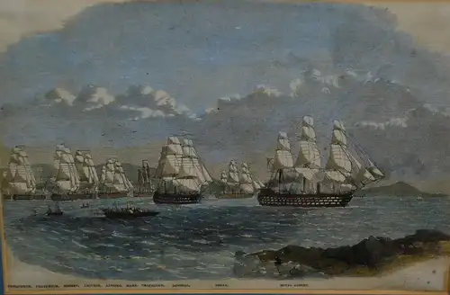 Stahlstich, koloriert,engl. Flotte,1860, gerahmt, Passepartout