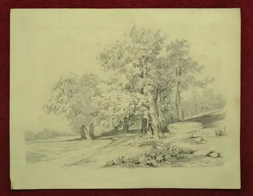 Bleistifzeichnung, auf Papier, Waldlandschaft; E.Haim oder Hainz