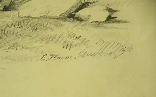 Bleistifzeichnung, auf Papier, Waldlandschaft; E.Haim oder Hainz