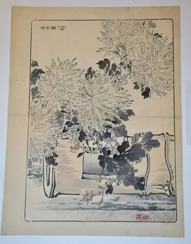 Aquarell -Federzeichnung,Kono Bairei 1844-1894, Chrysanthemenbusch