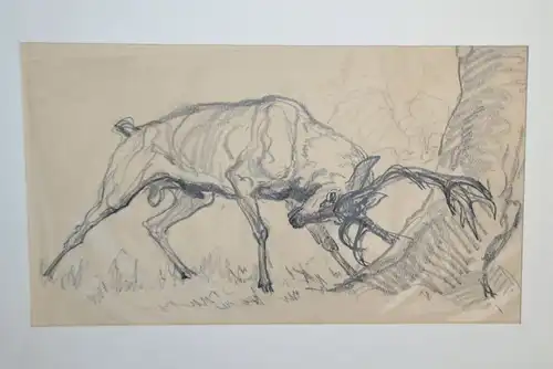 Bleistiftzeichnung,Hirsch wetzt sein Geweih an einem Baum,19.Jhdt.unsigniert