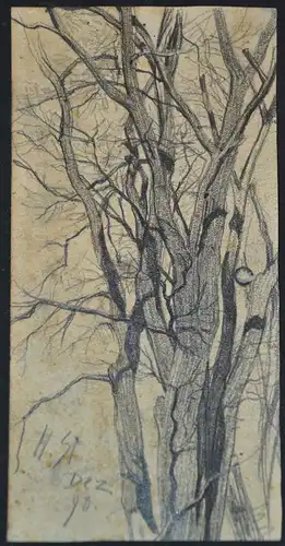 Bleistiftzeichnung,Hans Stadelmann,kahler Baum, Dez.1898