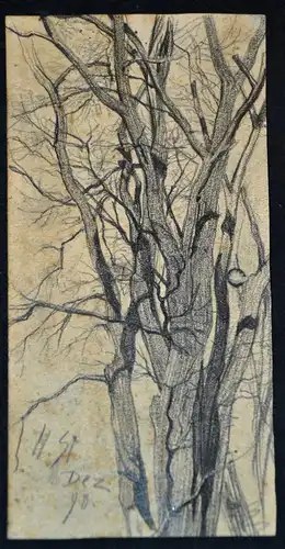 Bleistiftzeichnung,Hans Stadelmann,kahler Baum, Dez.1898