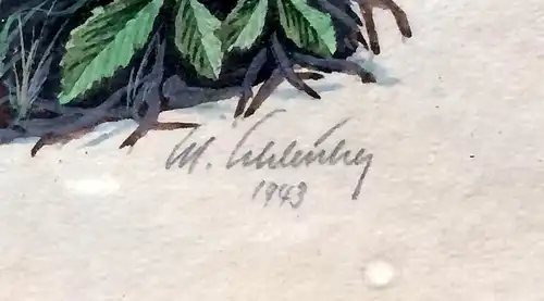 Aquarell mit Alpenblumen, signiert datiert 1943, gerahmt, hinter Glas