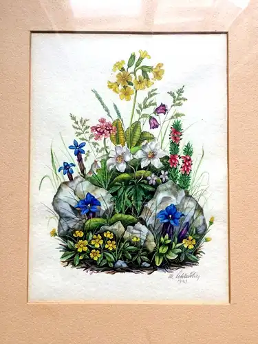 Aquarell mit Alpenblumen, signiert datiert 1943, im Passepartout, gerahmt