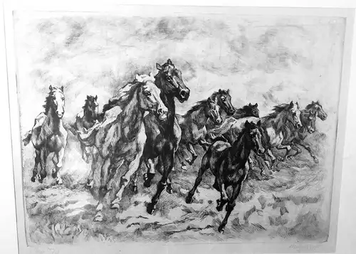 Lithografie, galoppierende Pferde, 33 von 100, unleserlich signiert