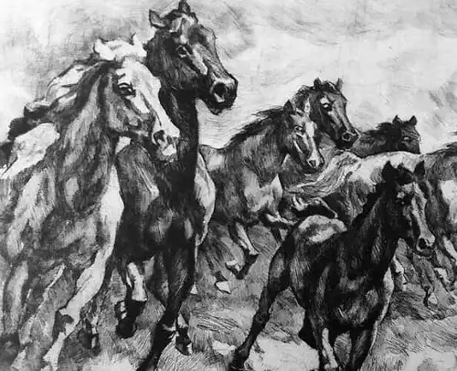 Lithografie, galoppierende Pferde, 33 von 100, unleserlich signiert