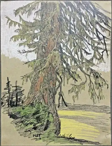 Original-Bleistiftzeichnung "Sterbender Baum", monogrammiert „HST 1913“,