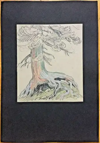 Original-Bleistiftzeichnung eines Baumes, nicht signiert, wohl Hans Stadelmann