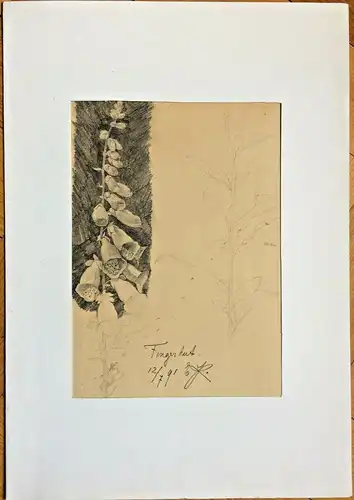 Bleistiftzeichnung „Fingerhut“ im Passepartout, monogrammiert „E. K.“, 1891