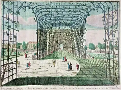 Altcolorierter Kupferstich Garten des Gouverneurs von Pondichery, Ostindien 1780