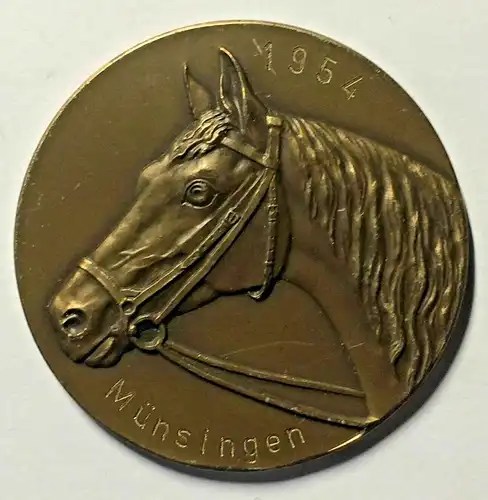 Runde Bronzeplakette mit Pferdekopf