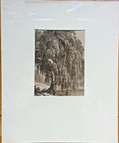 Lithographie Uferlandschaft mit Weiden, nicht signiert, im Passepartout