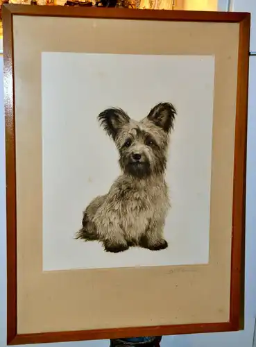 Original Radierung von Meyer-Eberhardt,Originalsignatur ! Skye-Terrier,gerahmt