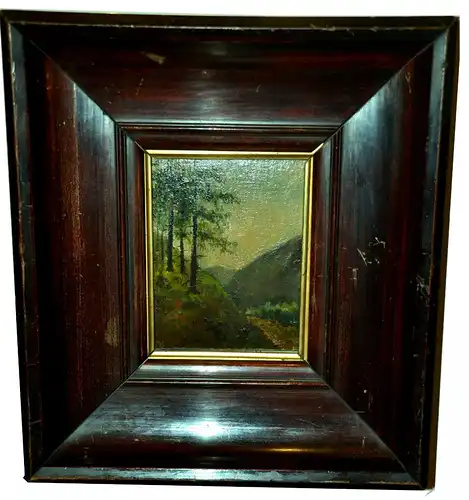 Gemälde,Öl,Blick von einem Waldhang auf das Tal,signiert A.Lier, gerahmt