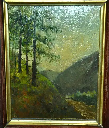 Gemälde,Öl,Blick von einem Waldhang auf das Tal,signiert A.Lier, gerahmt
