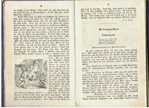 Münchener Jugendfreund – Eine illustrirte Wochenschrift ,Öffentlicher Schulpreis