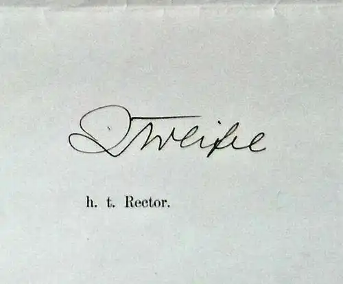 Original-Ernennungsurkunde der Universität Leipzig,1901, Rektor Paul Zweifel