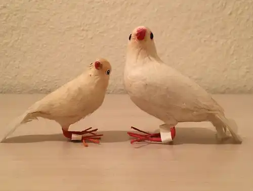 Zwei weiße Tauben, mit echten Federn, 20.Jhdt