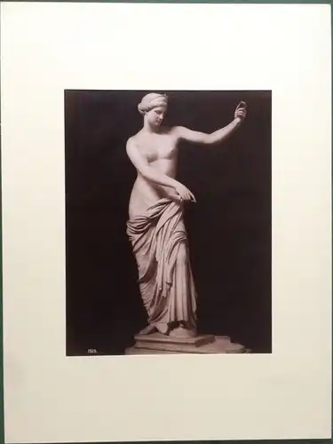 Photographie Marmorstatue „Venus von Capua“ im  Nationalmuseum Neapel, G. Sommer