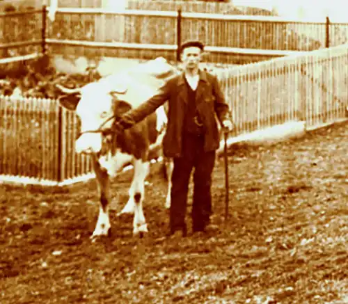 Fotografie,Bauernhof, Alpenvorland,um 1900
