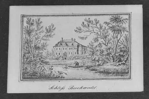 Lithografie,Schloss Buchwald,frühes 19.Jhdt,)seltene Darstellung