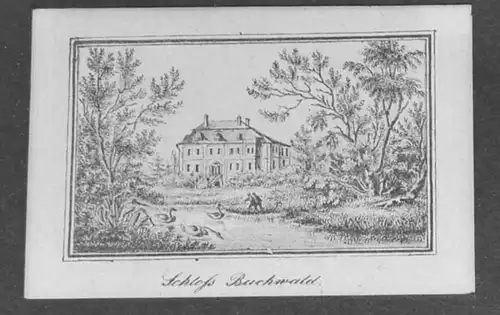 Lithografie,Schloss Buchwald,frühes 19.Jhdt,)seltene Darstellung
