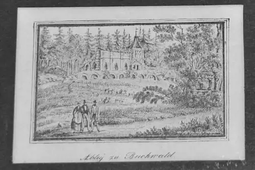 Lithografie,Abtey zu Buchwald,frühes 19.Jhdt,( Bukowiec )seltene Darstellung