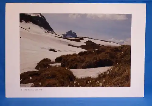 Fotografie, Mändlenen vor Schneefeld, Schweiz