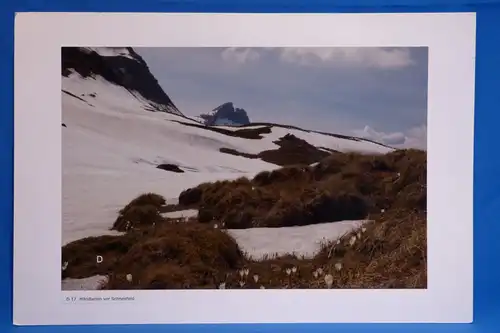 Fotografie, Mändlenen vor Schneefeld, Schweiz