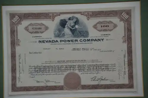 Aktie, Nevada Power Company , 100 Shares, USA